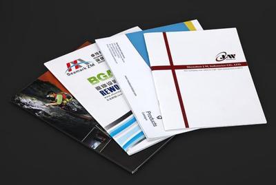 西寧網頁與網站設計 數字化時代的發展機遇與實踐探索