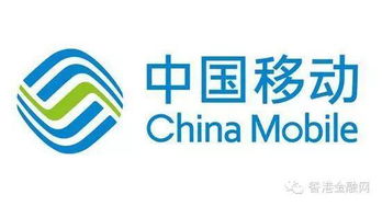 中國移動318億重組鐵通，技術(shù)咨詢崗員工待遇成焦點