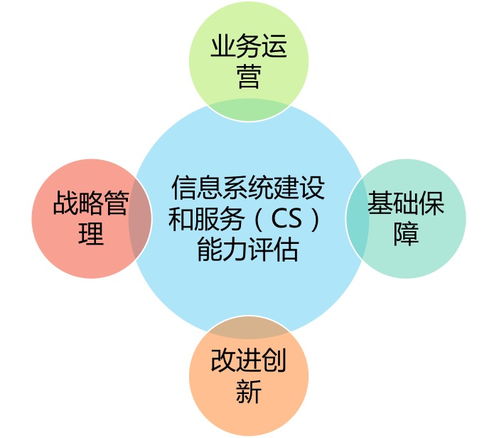 解讀信息系統建設和服務能力CS評估體系 信息技術咨詢服務的新航標